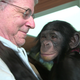 Steve Wise with the chimpanzee Teko, as seen in Unlocking the Cage. (Image: Pennebaker Hegedus Films/HBO)